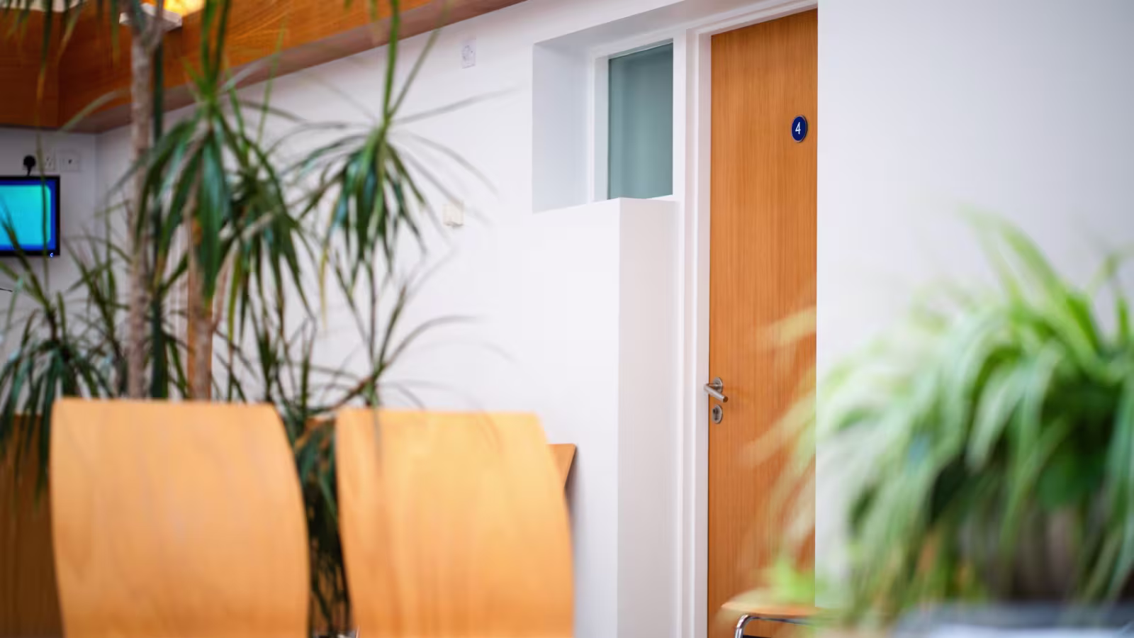 Consulting room doors off the waiting area, with plants either side